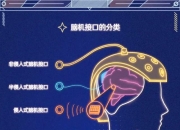 新型脑机接口系统可实时将想法转化为语言