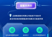 人保车险,人保财险 _智慧能源行业市场供需格局及未来发展趋势预测2025