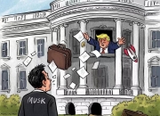 马斯克：是时候建新政党了；特朗普再轰美联储：鲍威尔和整个委员会都该羞耻；41家IPO企业同日获受理；京东紧急声明丨每经早参