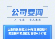 八一钢铁：公司2024年年报披露净资产为正值