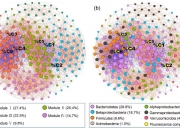 研究称生物“最近共同祖先”来自42亿年前