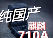 专访丨窦德景：让国产芯片用起来、跑起来