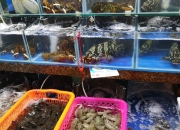 2024年中国海鲜行业的市场发展现状及投资风险分析_人保伴您前行,人保护你周全