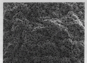 陕鼓动力获得发明专利授权：“用于汽电双驱的马来酸酐制备系统的空气供应装置的运行方法”