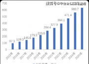 2025中国光伏产业市场全景调研及市场规模、投资战略分析_保险有温度,人保财险 