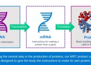 康希诺生物盘中上涨超6% 重组脊髓灰质炎疫苗获临床试验批准