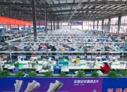 大洋电机：重庆工厂将根据业务发展逐步释放产能