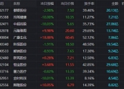 钛白粉概念涨1.70%，主力资金净流入这些股