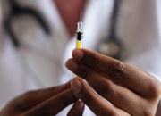 动物疫苗概念下跌0.96%，主力资金净流出12股