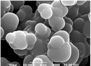 野马电池获得发明专利授权：“二氧化钛纳米颗粒包覆锌粉负极材料的制备方法和应用”
