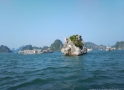 已致34人死亡（包括8名儿童）！越南下龙湾一艘载有53人的游船发生倾覆，越总理签发紧急通知