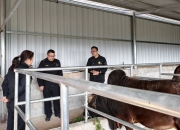 市场监管总局召开2025年直播带货食品安全行政指导会