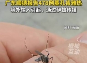 广东顺德累计报告基孔肯雅热确诊病例1161例