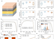 天合光能获得发明专利授权：“钙钛矿太阳电池组件及其制备方法”
