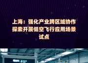 超100个低空应用集结上海！