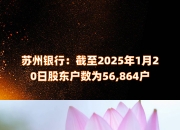 蕾奥规划：截至2025年7月18日股东总户数10,306户