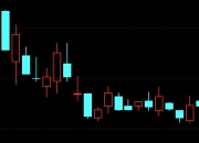红墙股份7月22日龙虎榜数据
