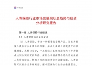人保服务 ,人保服务_2025零食连锁行业市场现状及未来发展前景分析
