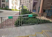拥有“如意行”驾乘险，出行更顺畅！,人保有温度_水族馆行业运营模式分析及未来市场投资风险2024
