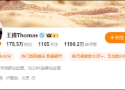 定了！85后“美女经理”魏思琪接替王腾，出任小米中国区市场部总经理！王腾：在考虑创业项目