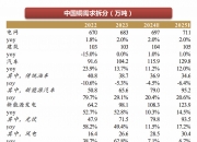 藏格矿业（000408）2025年三季报简析：营收净利润同比双双增长，盈利能力上升