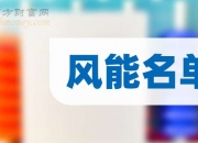塑风电新格局：正泰龚恩乐谈风电产业协同创新与全球视野