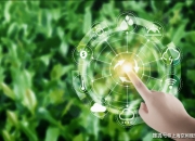 海通国际发布远光软件研报，首次覆盖报告：把握双碳与电改机遇，布局数智化转型