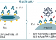 细胞免疫治疗概念下跌1.05%，主力资金净流出42股