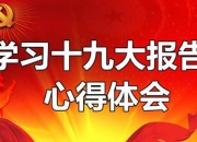 人保有温度,人保护你周全_2026LNG运输项目可行性：在能源变迁的巨浪中，做清醒的航行者