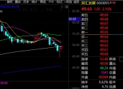 小菜园冲刺IPO背后：多次巨额分红，实控人汪书高意欲何为？