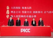 人保服务,人保伴您前行_2025-2030中国中药注射剂市场供需调查与投资潜力研究报告深度解读：产业现状、竞争格局与战略投资指南