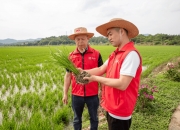人保车险,人保财险 _2026环保染料行业现状调研及需求、未来趋势分析