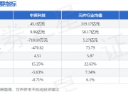中英科技：控股股东的一致行动人拟减持不超0.29%公司股份