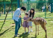 花海遇萌宠！成都首届国际宠物运动会解锁五一新玩法