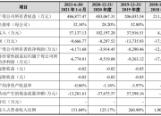海光信息盘中涨停 488只科创板股上涨