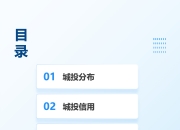 这家AAA级城投平台子公司29亿债务逾期，归母净利连续三年亏损，下周15亿中票到期