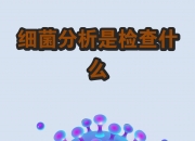 2026-2030年中国微生物诊断行业：mNGS与质谱双轮驱动，掘金500亿精准感染防控市场_人保服务 ,人保财险 