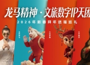 保险有温度,人保有温度_2026中国IP摄像机行业：市场份额分布呈现一定格局