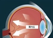 三大元凶引发跳水 后期策略