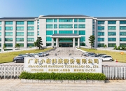 董事会人数是5人还是9人？小崧股份管理层与前实控人家族成员再现争端