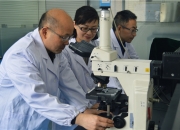 凯恩股份：公司目前核心业务不包括电解电容器纸业务