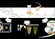 润和软件新注册《基于AI微生物指纹识别系统V1.0.0》项目的软件著作权