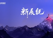 佳禾智能：投资布局了上游芯片方案服务商物奇微