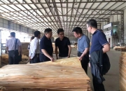 《北部湾经济区开放发展规划》公开征求意见：谋划建设北部湾大宗商品资源配置枢纽