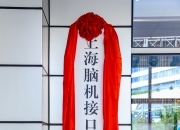 天津整合资源成立脑机接口产业集团