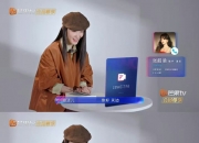 2026-2030年综艺节目项目商业计划书：长短视频联动与衍生综艺矩阵布局_人保财险政银保 ,人保服务