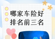 保险有温度,人保车险   品牌优势——快速了解燃油汽车车险_2026-2030年中国环保购物袋行业：从低价竞争向品牌溢价转型的市场突围策略
