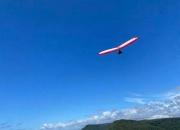 股价平均上涨47%！2024福布斯中国最佳CEO，雷军、钟睒睒、王传福等位列前十