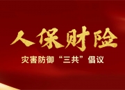 2026中国核电行业：更安全、更高效、更灵活_人保伴您前行,人保财险 