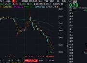 ST金鸿顺，涉嫌信息披露违法违规，被证监会立案